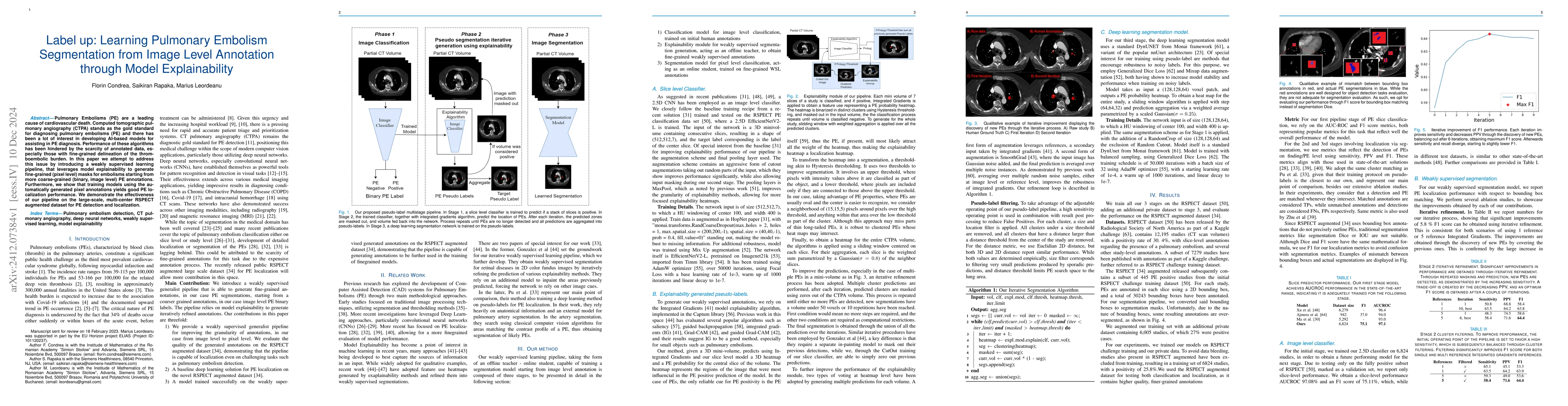 Thumbnail for Label up: Learning Pulmonary Embolism Segmentation from Image Level
  Annotation through Model Explainability