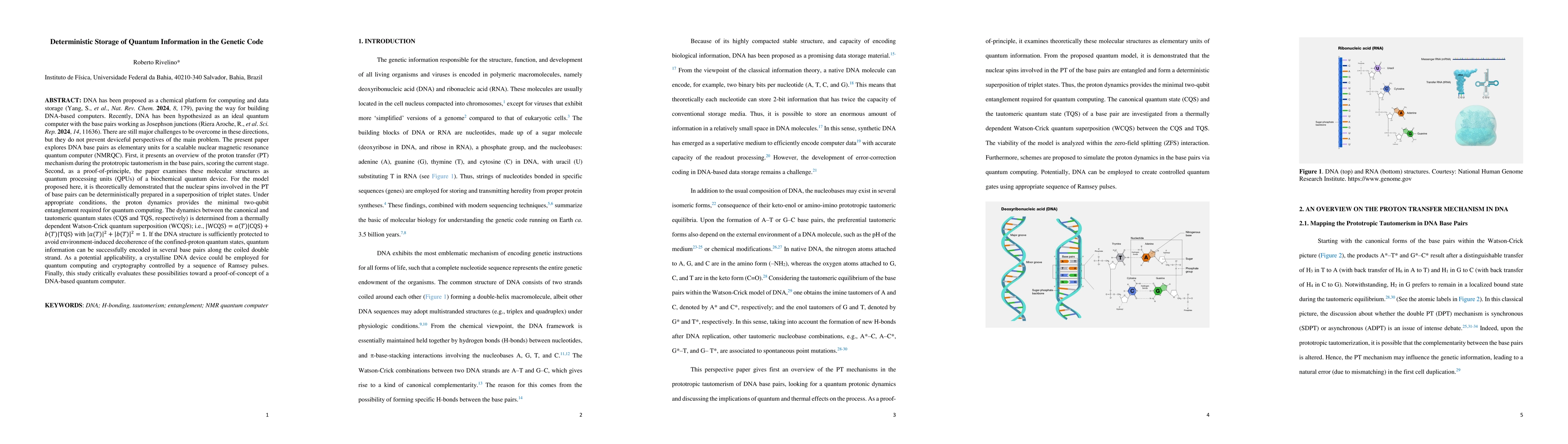 Thumbnail for Deterministic Storage of Quantum Information in the Genetic Code