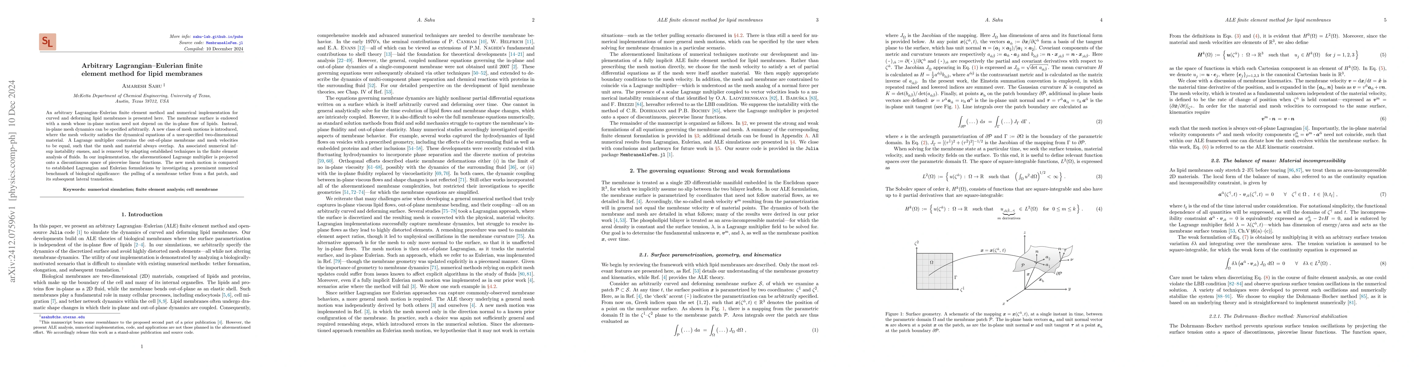 Thumbnail for Arbitrary Lagrangian--Eulerian finite element method for lipid membranes