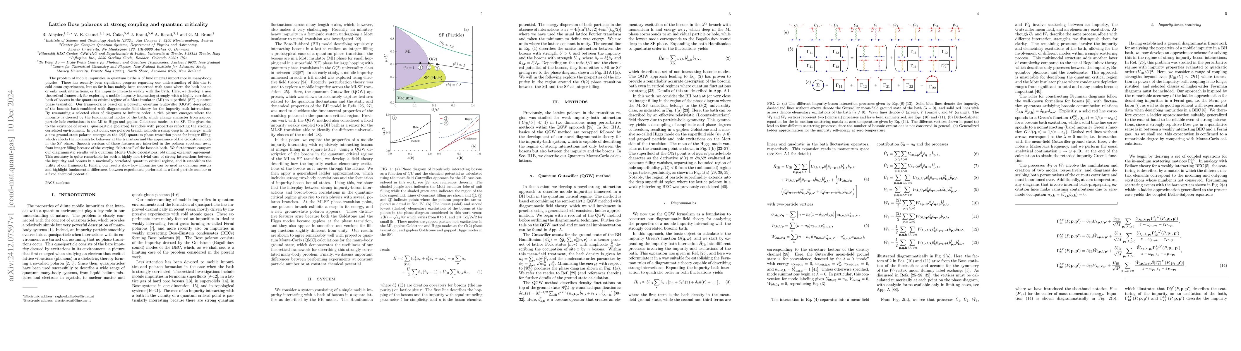 Thumbnail for Lattice Bose polarons at strong coupling and quantum criticality