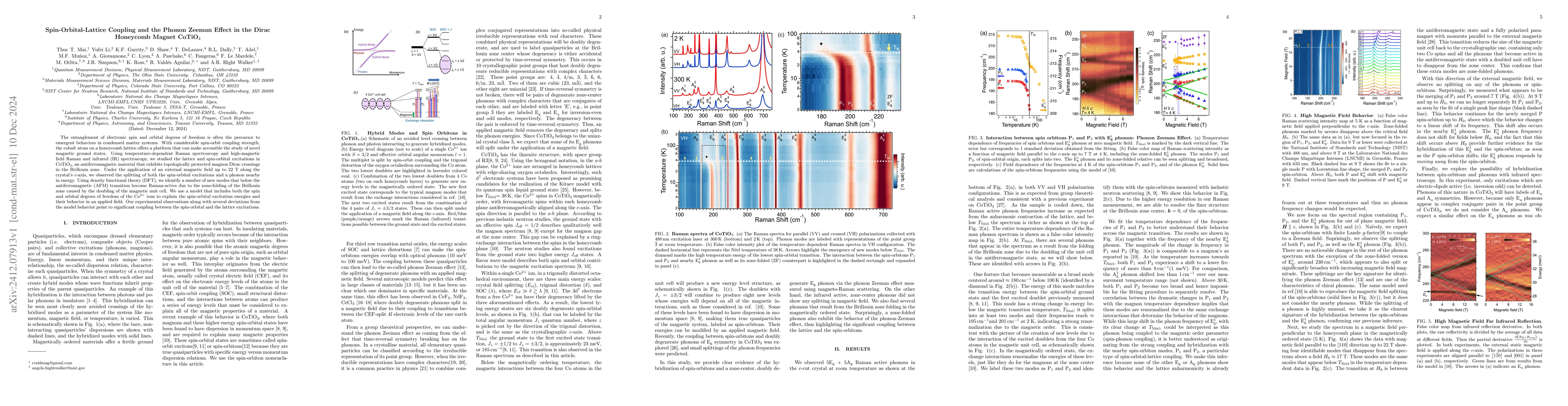 Thumbnail for Spin-Orbital-Lattice Coupling and the Phonon Zeeman Effect in the Dirac
  Honeycomb Magnet CoTiO$_3$