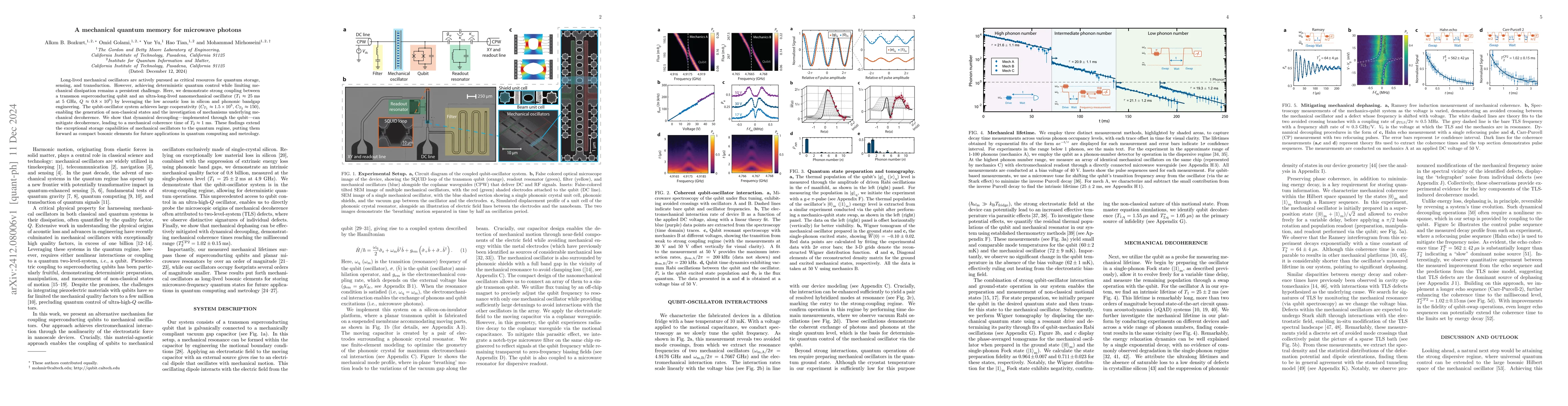 Thumbnail for A mechanical quantum memory for microwave photons