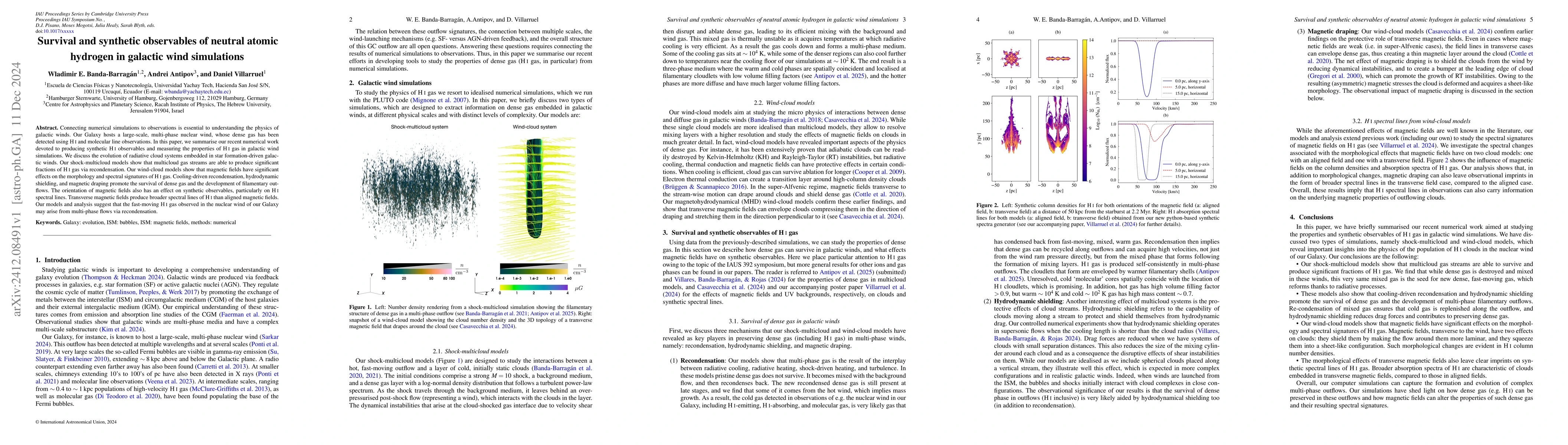 Thumbnail for Survival and synthetic observables of neutral atomic hydrogen in
  galactic wind simulations