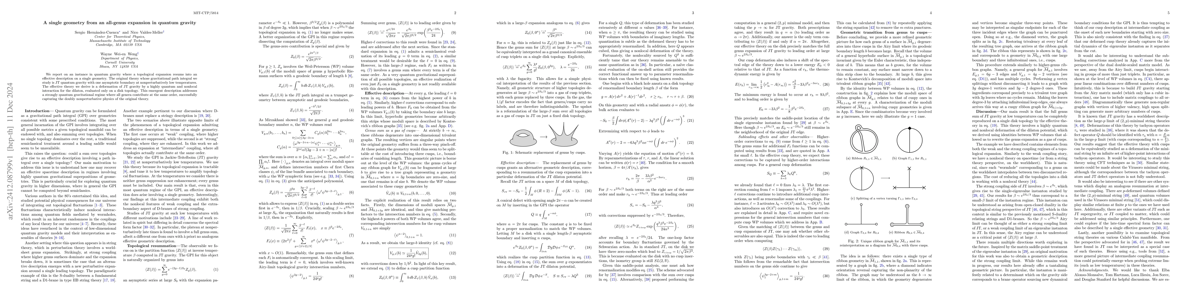 Thumbnail for A single geometry from an all-genus expansion in quantum gravity
