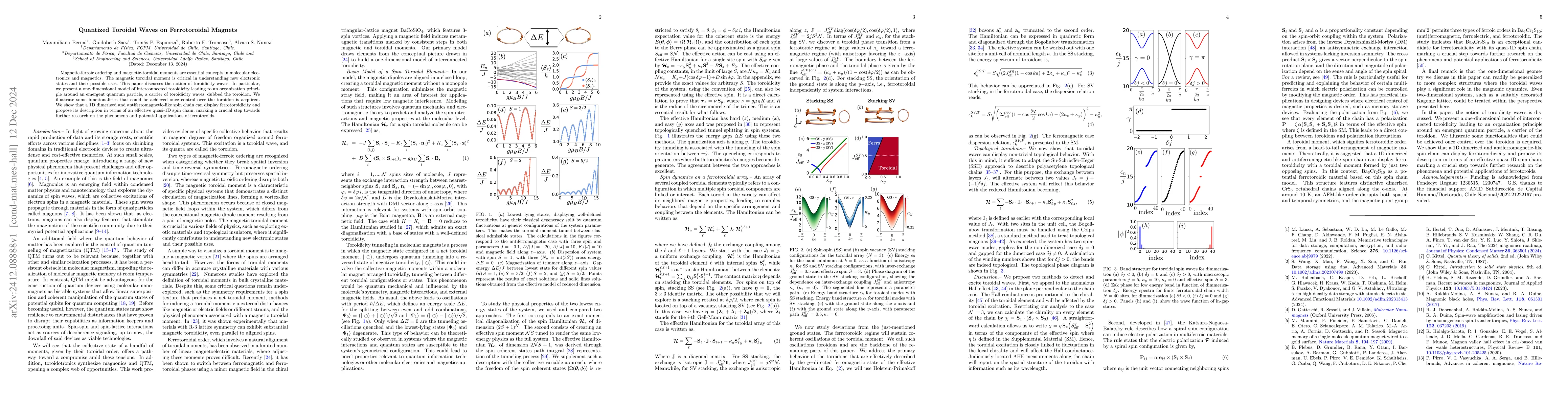 Thumbnail for Quantized Toroidal Waves on Ferrotoroidal Magnets