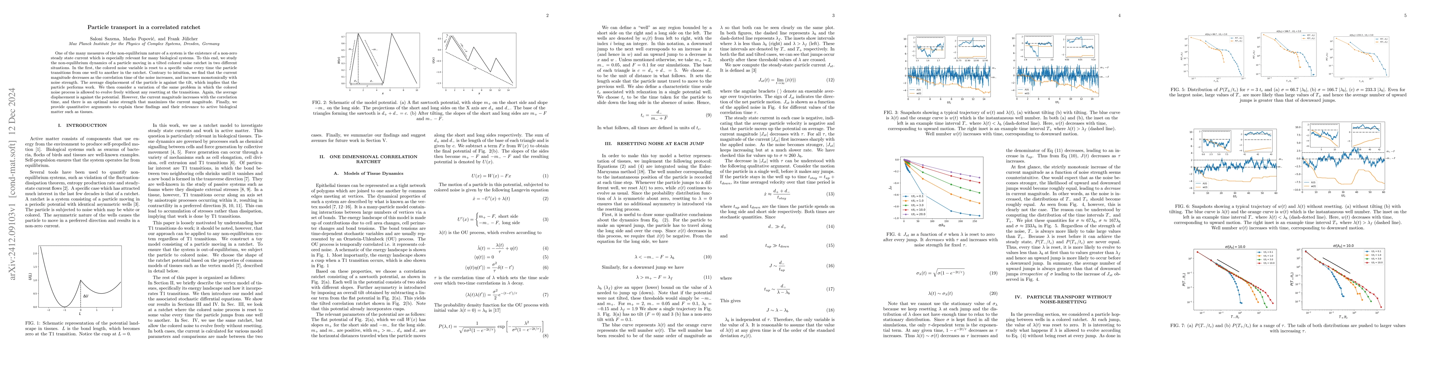 Thumbnail for Particle transport in a correlated ratchet