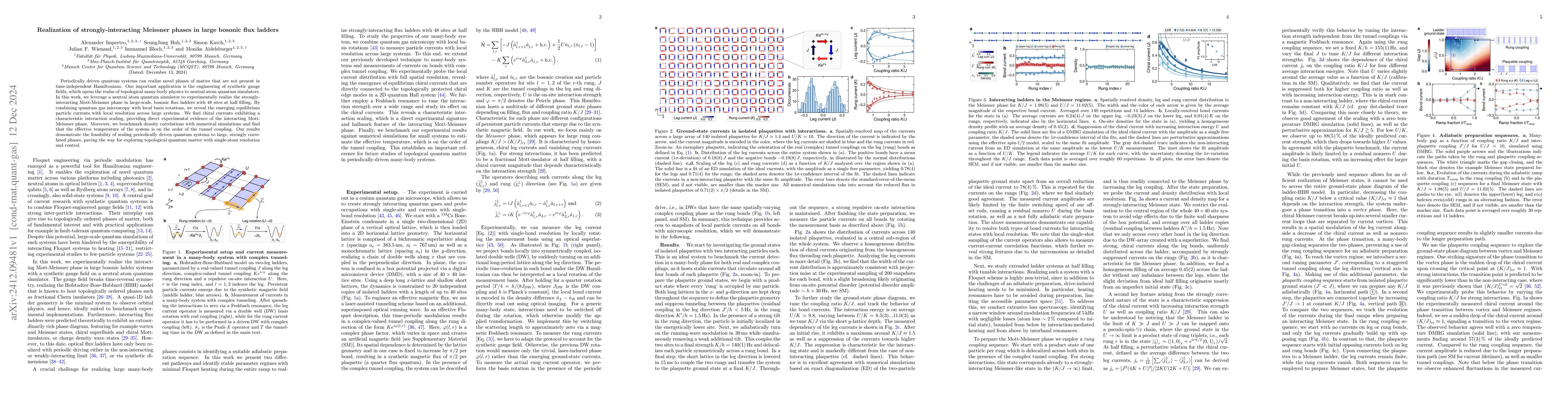 Thumbnail for Realization of strongly-interacting Meissner phases in large bosonic
  flux ladders