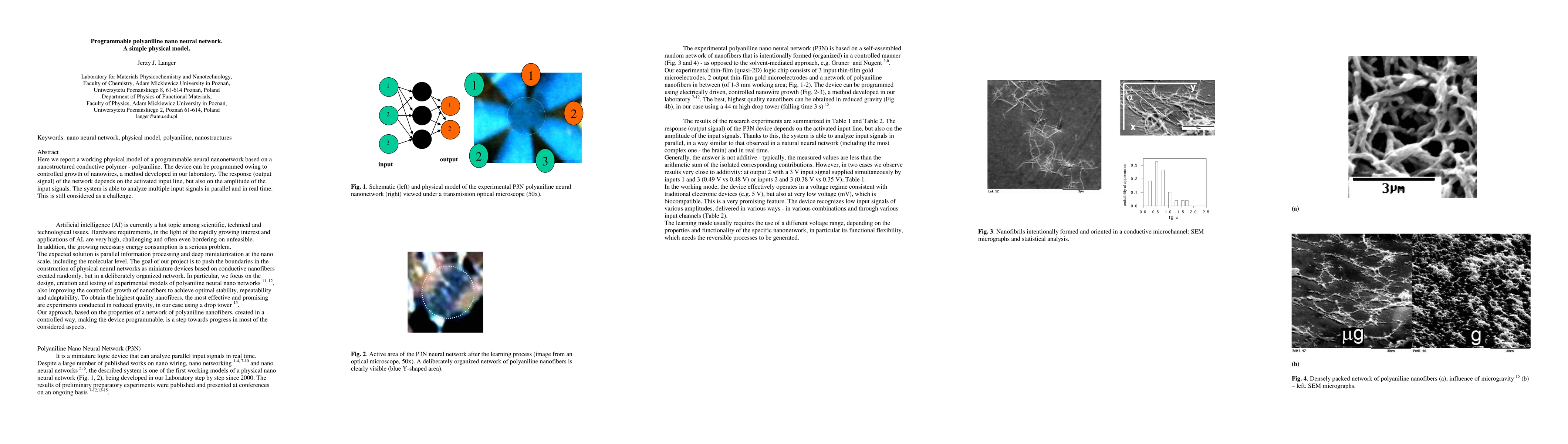 Thumbnail for Programmable polyaniline nano neural network. A simple physical model