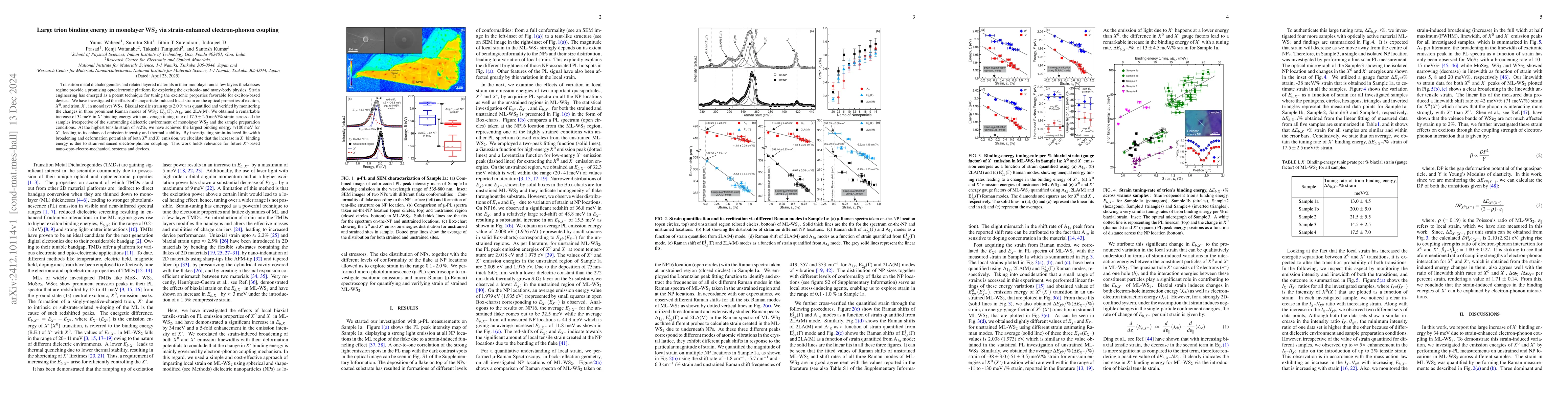 Thumbnail for Large trion binding energy in monolayer WS$_2$ via strain-enhanced
  electron-phonon coupling