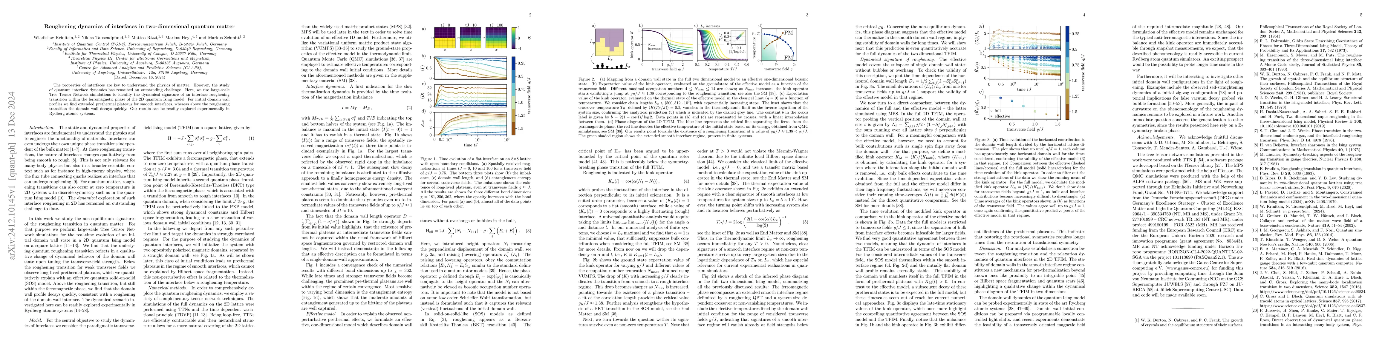 Thumbnail for Roughening dynamics of interfaces in two-dimensional quantum matter