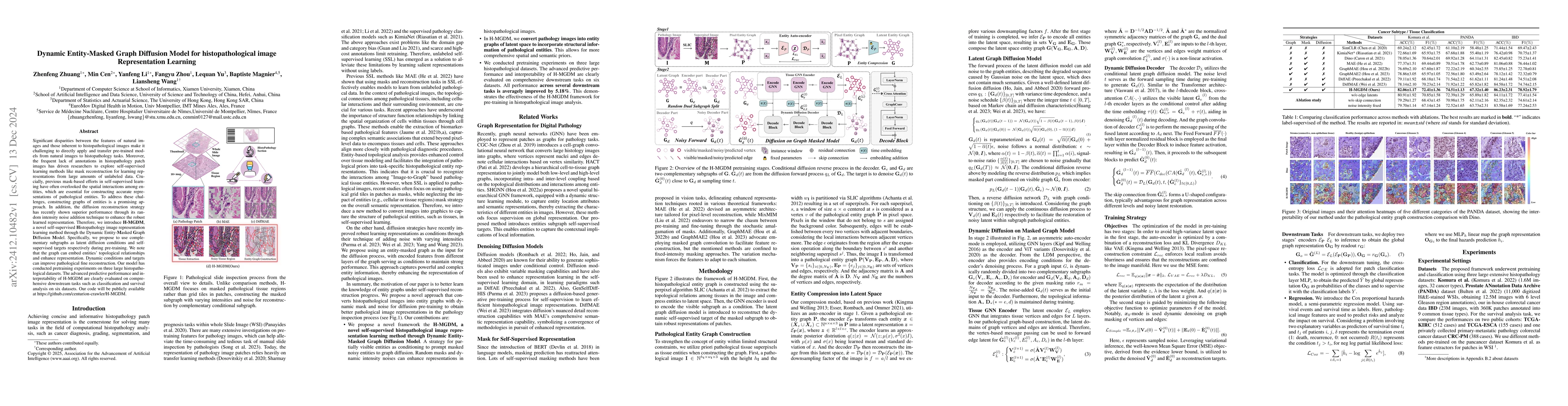 Thumbnail for Dynamic Entity-Masked Graph Diffusion Model for histopathological image
  Representation Learning