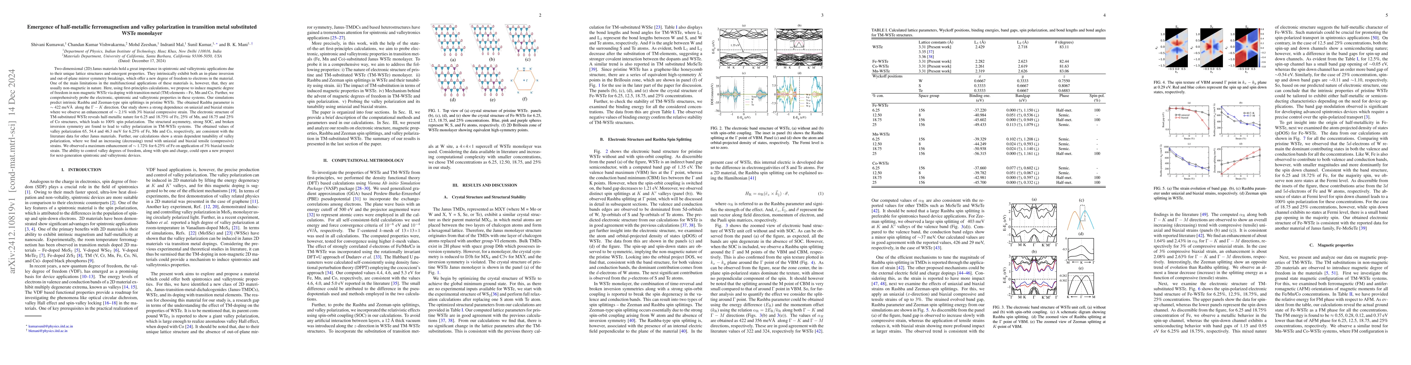 Thumbnail for Emergence of half-metallic ferromagnetism and valley polarization in
  transition metal substituted WSTe monolayer