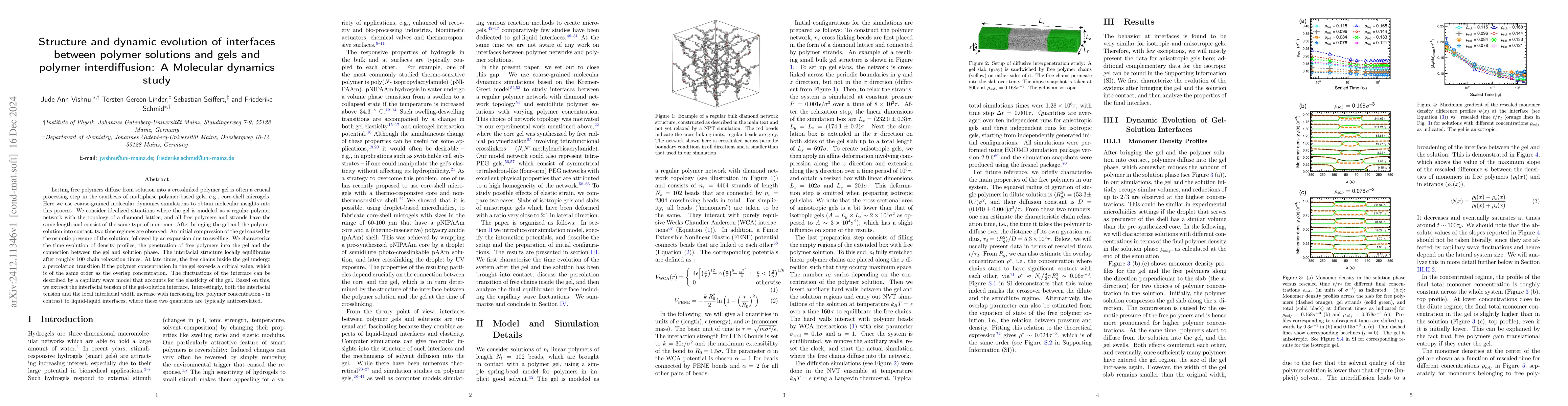 Thumbnail for Structure and Dynamic Evolution of Interfaces between Polymer Solutions
  and Gels and Polymer Interdiffusion: A Molecular Dynamics Study