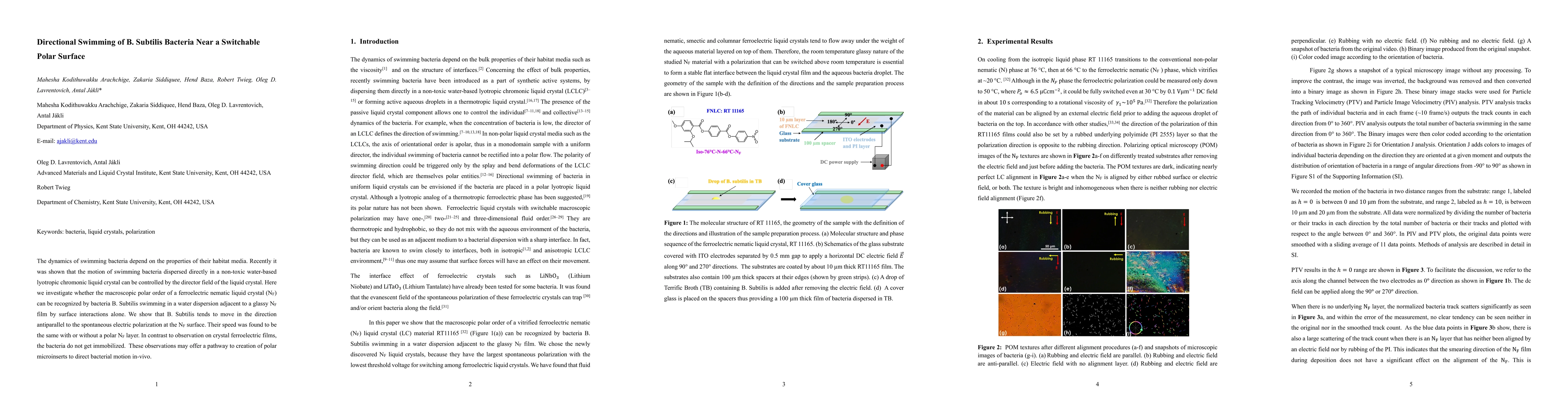 Thumbnail for Directional Swimming of B. Subtilis Bacteria Near a Switchable Polar
  Surface