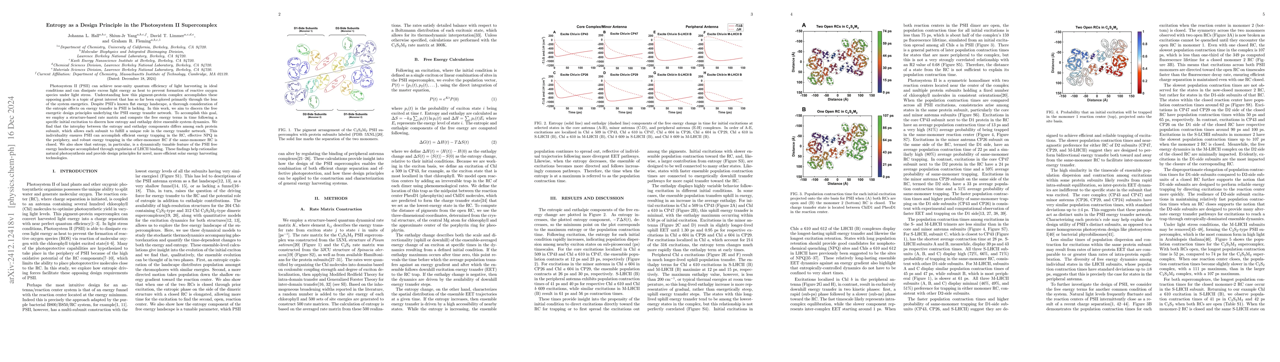 Thumbnail for Entropy as a Design Principle in the Photosystem II Supercomplex