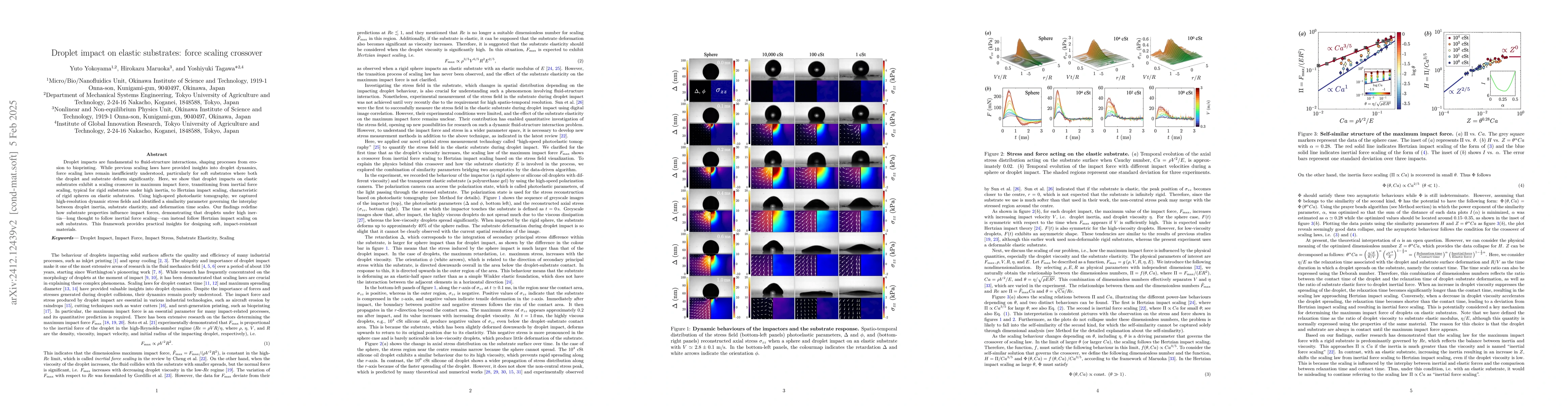 Thumbnail for Droplet impact on elastic substrates: force scaling crossover