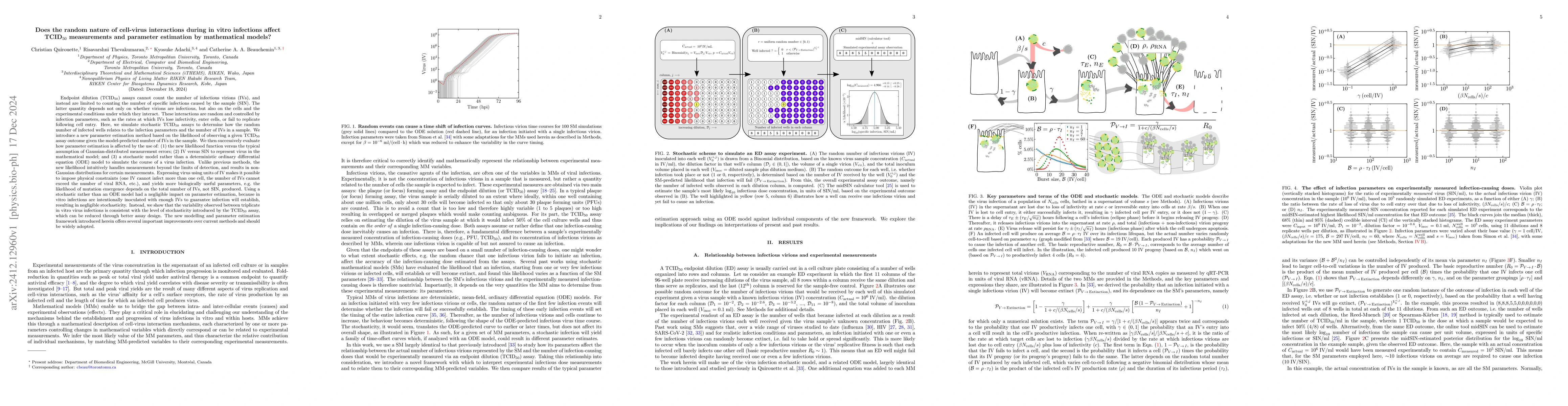 Thumbnail for Does the random nature of cell-virus interactions during in vitro
  infections affect TCID$_{50}$ measurements and parameter estimation by
  mathematical models?