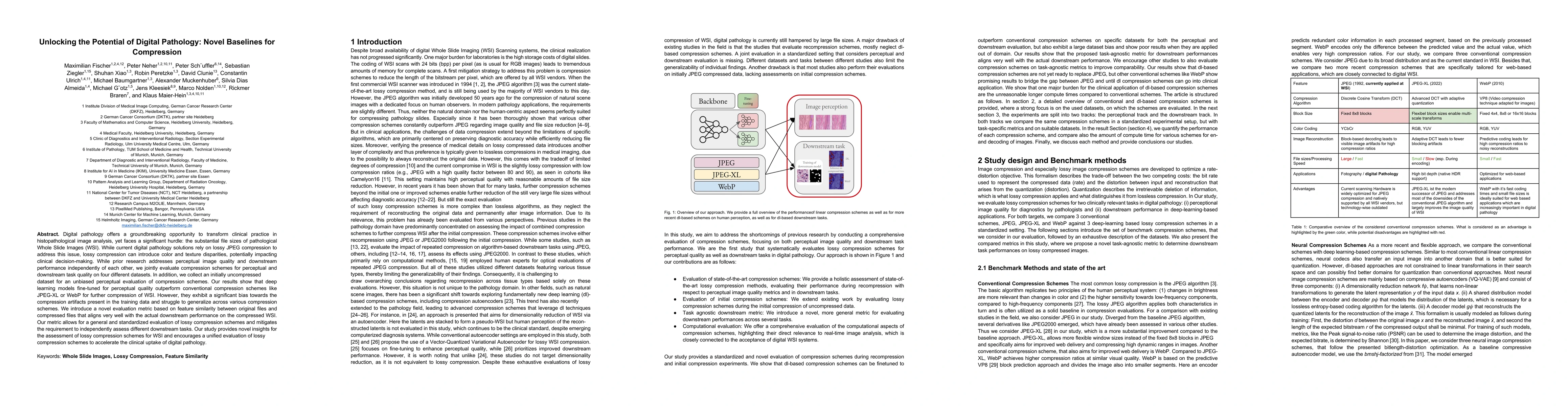 Thumbnail for Unlocking the Potential of Digital Pathology: Novel Baselines for
  Compression