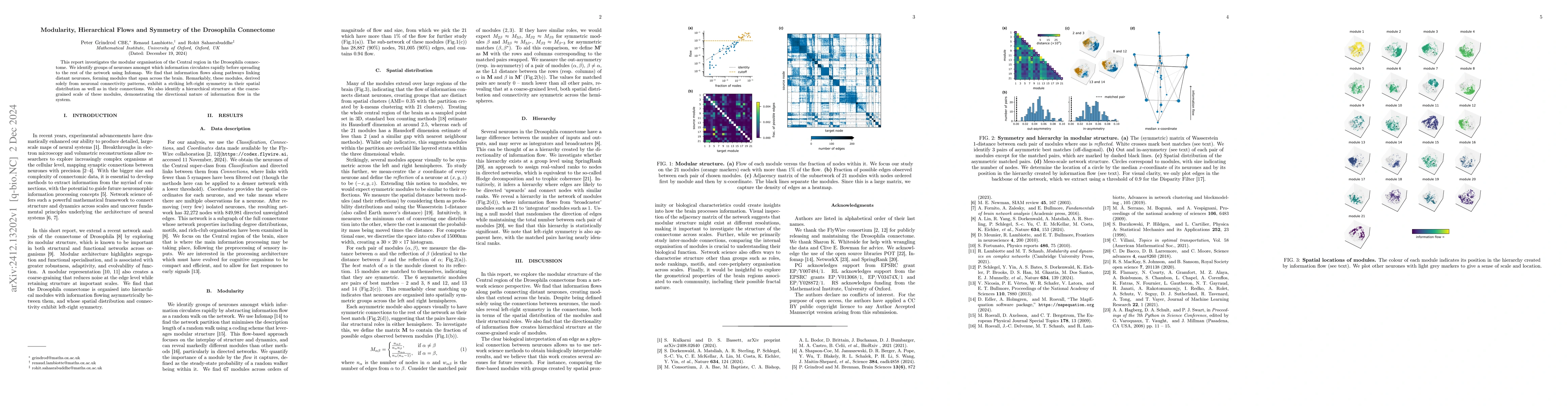 Thumbnail for Modularity, Hierarchical Flows and Symmetry of the Drosophila Connectome