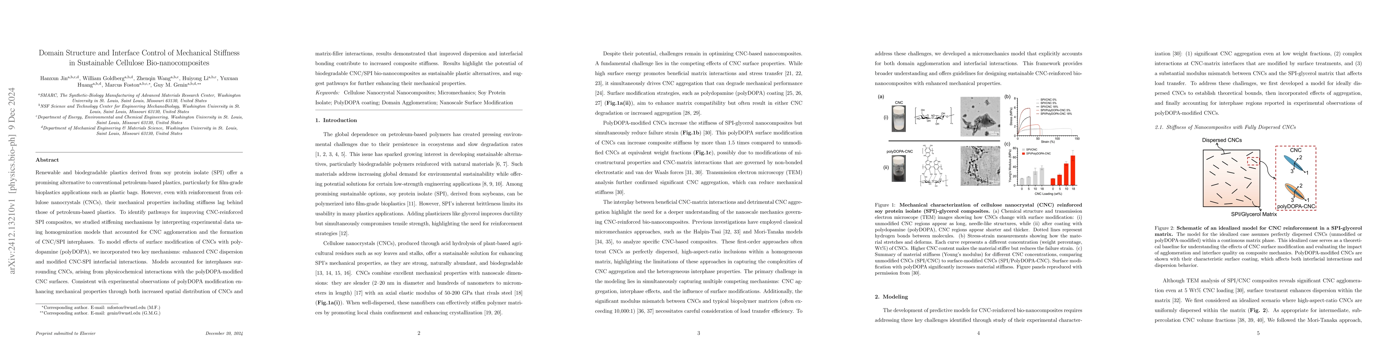 Thumbnail for Domain Structure and Interface Control of Mechanical Stiffness in
  Sustainable Cellulose Bio-nanocomposites