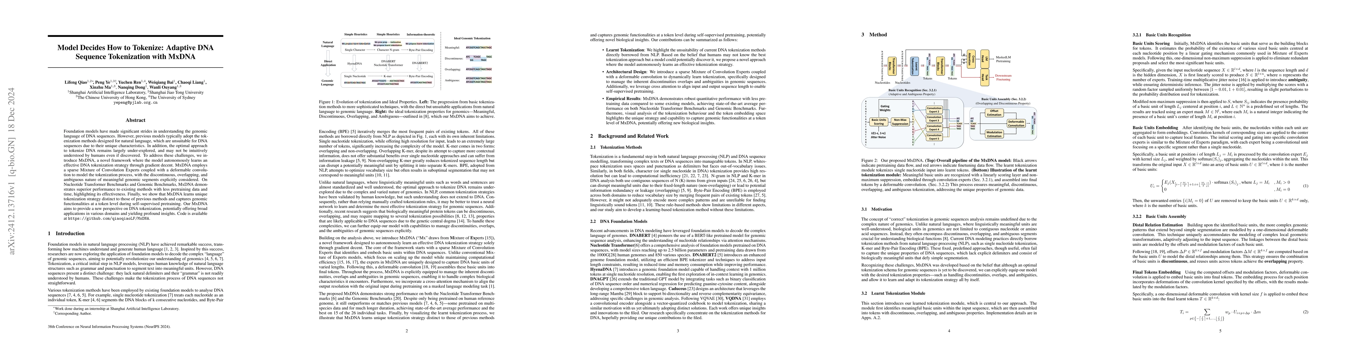 Thumbnail for Model Decides How to Tokenize: Adaptive DNA Sequence Tokenization with
  MxDNA