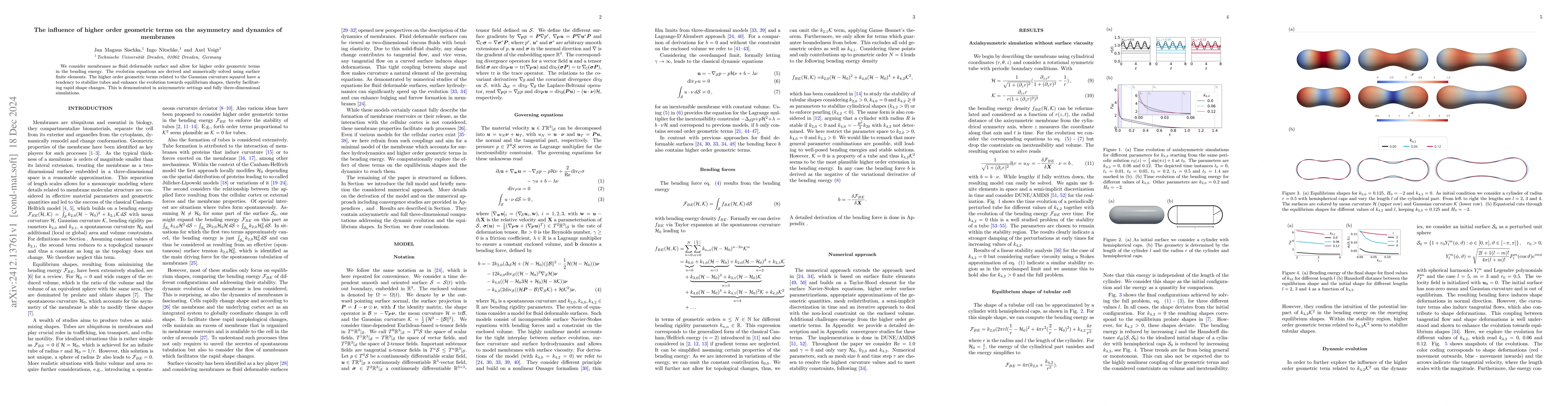 Thumbnail for The influence of higher order geometric terms on the asymmetry and
  dynamics of membranes
