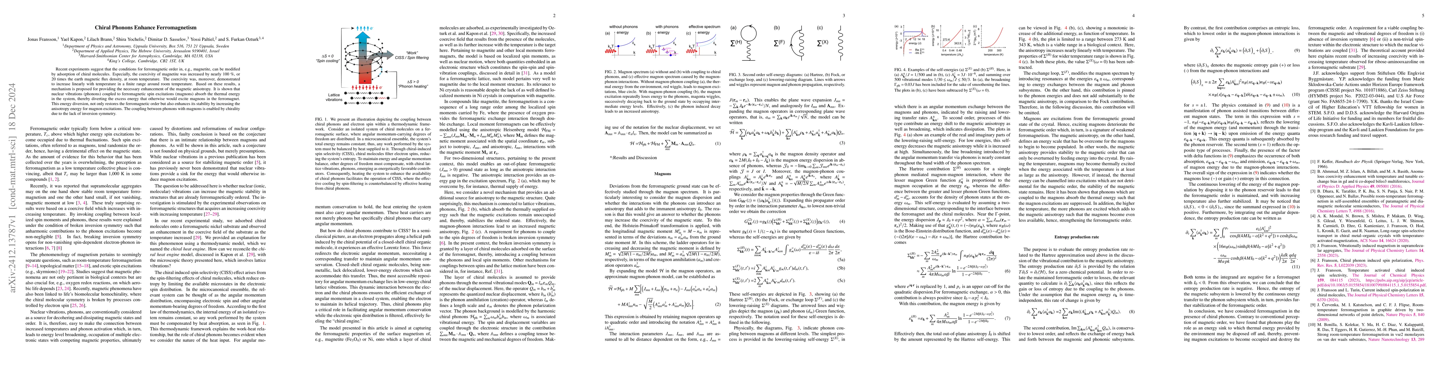 Thumbnail for Chiral Phonons Enhance Ferromagnetism