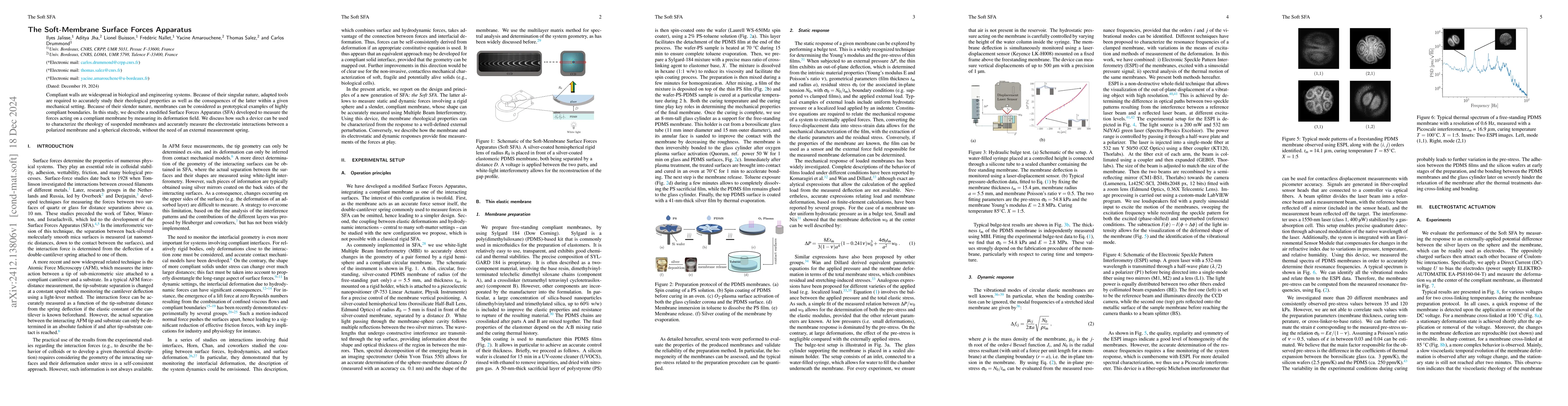 Thumbnail for The Soft-Membrane Surface Forces Apparatus