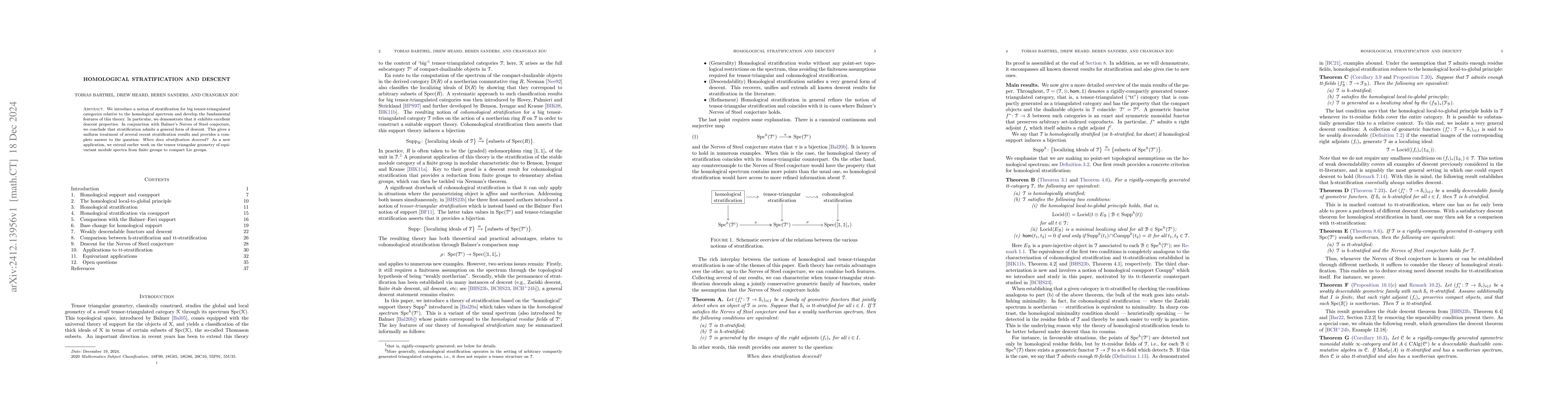 Thumbnail for Homological stratification and descent