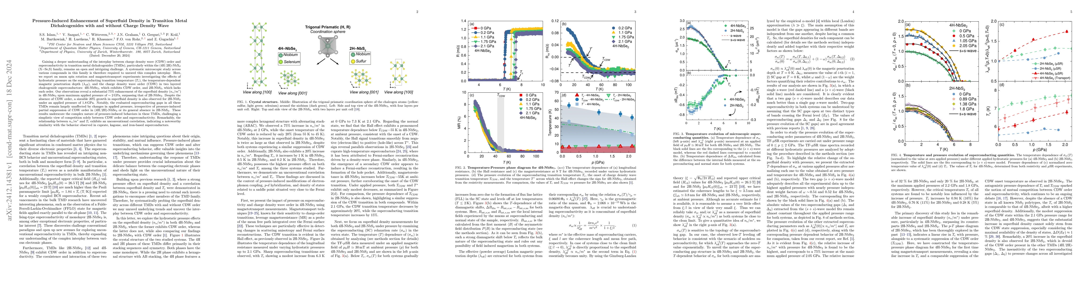 Thumbnail for Pressure-Induced Enhancement of Superfluid Density in Transition Metal
  Dichalcogenides with and without Charge Density Wave