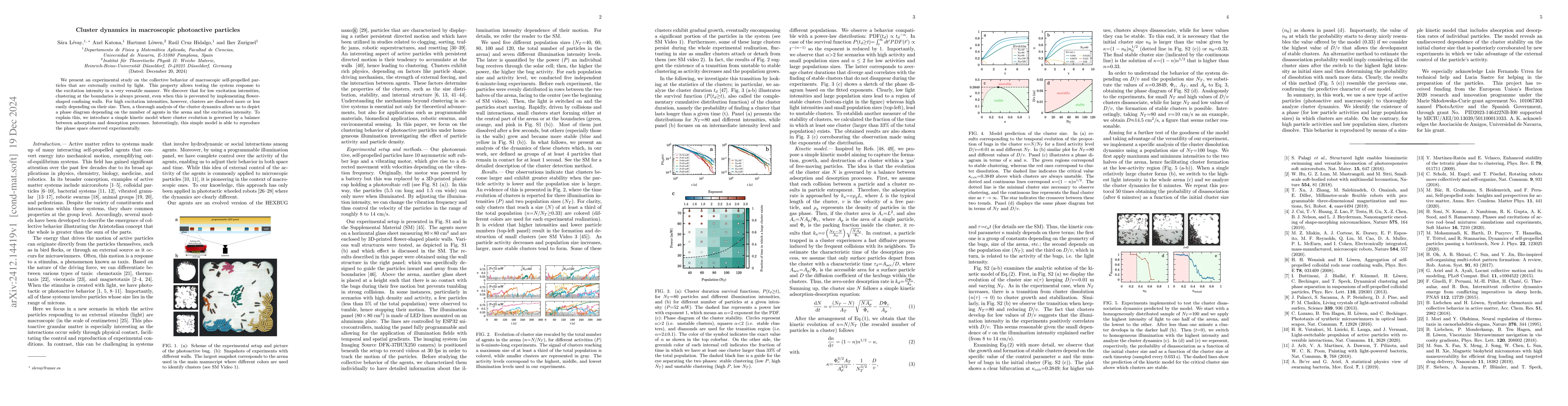 Thumbnail for Cluster dynamics in macroscopic photoactive particles