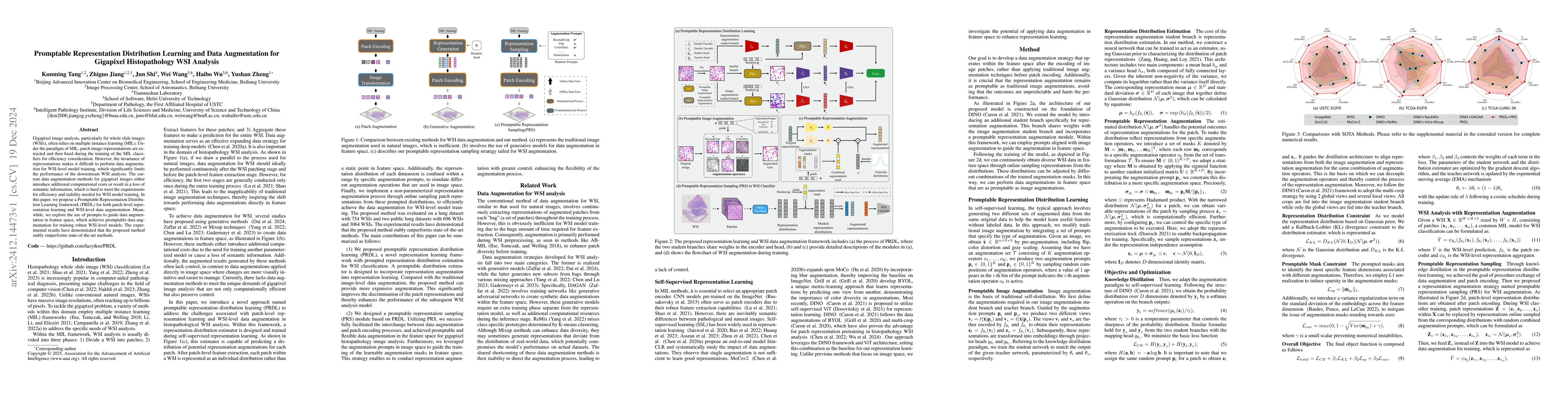 Thumbnail for Promptable Representation Distribution Learning and Data Augmentation
  for Gigapixel Histopathology WSI Analysis