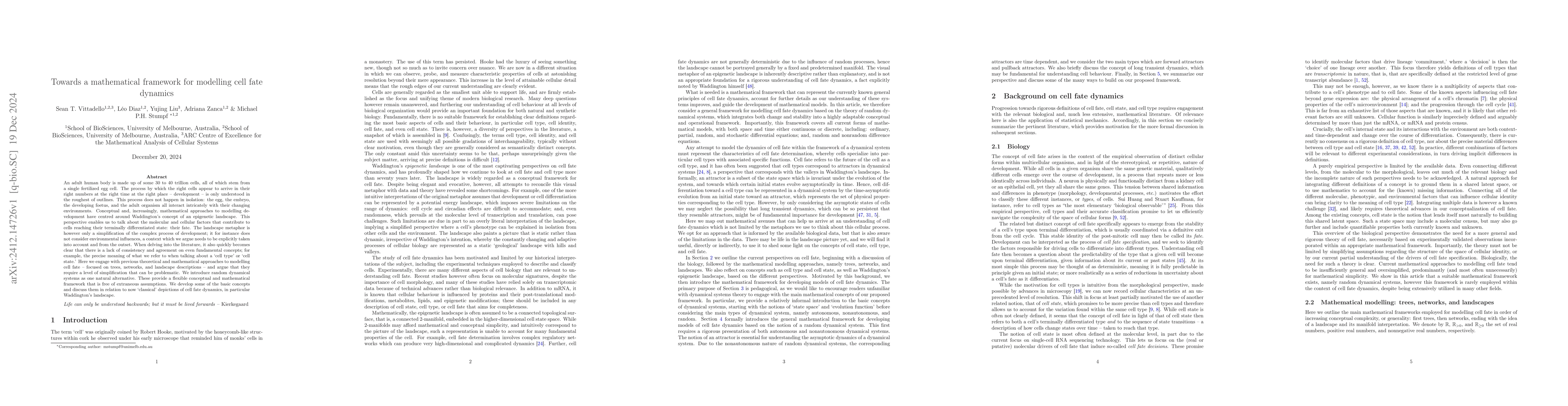Thumbnail for Towards a mathematical framework for modelling cell fate dynamics