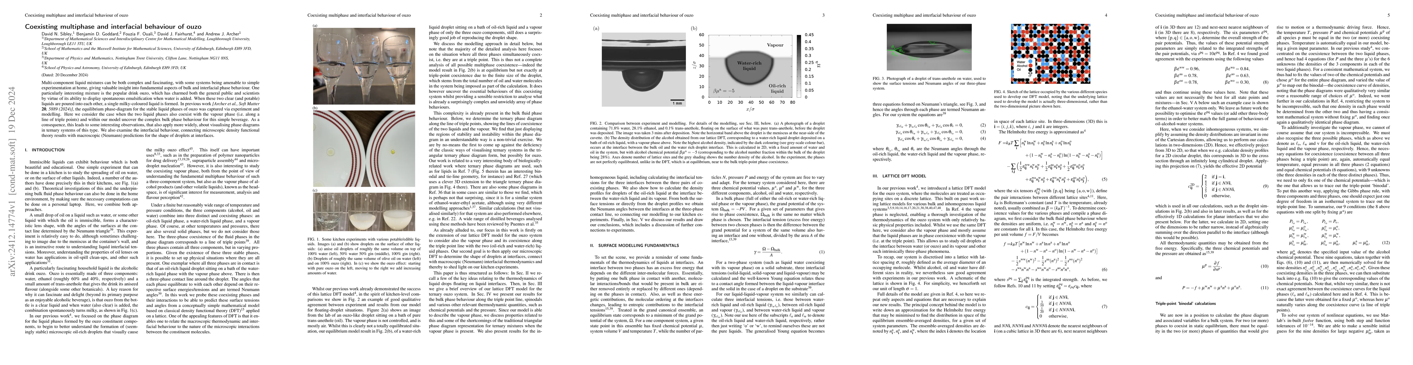 Thumbnail for Coexisting multiphase and interfacial behaviour of ouzo