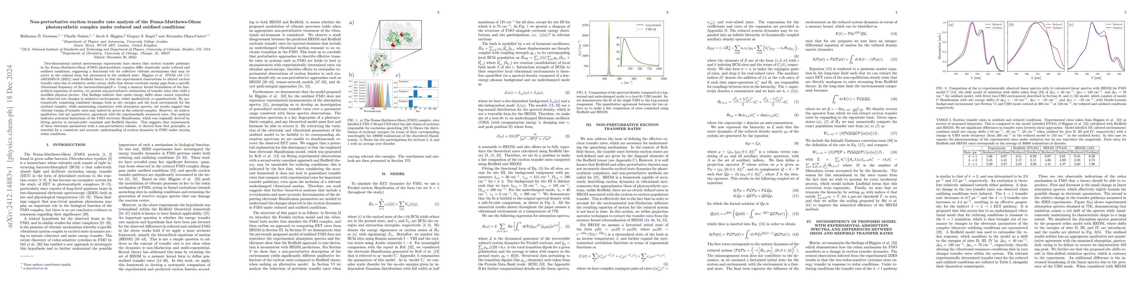 Thumbnail for Non-perturbative exciton transfer rate analysis of the
  Fenna-Matthews-Olson photosynthetic complex under reduced and oxidised
  conditions