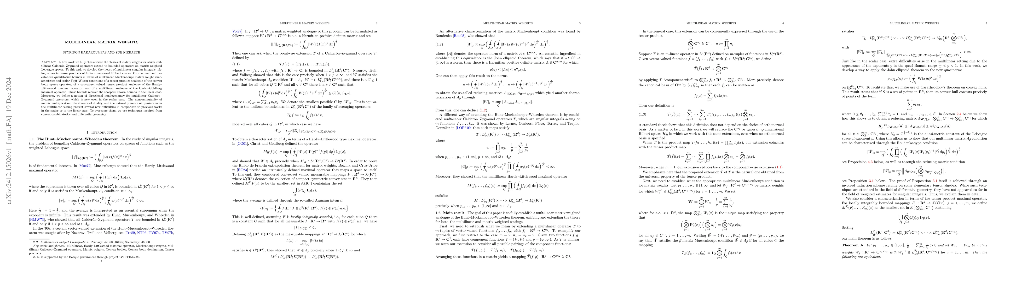 Thumbnail for Multilinear matrix weights