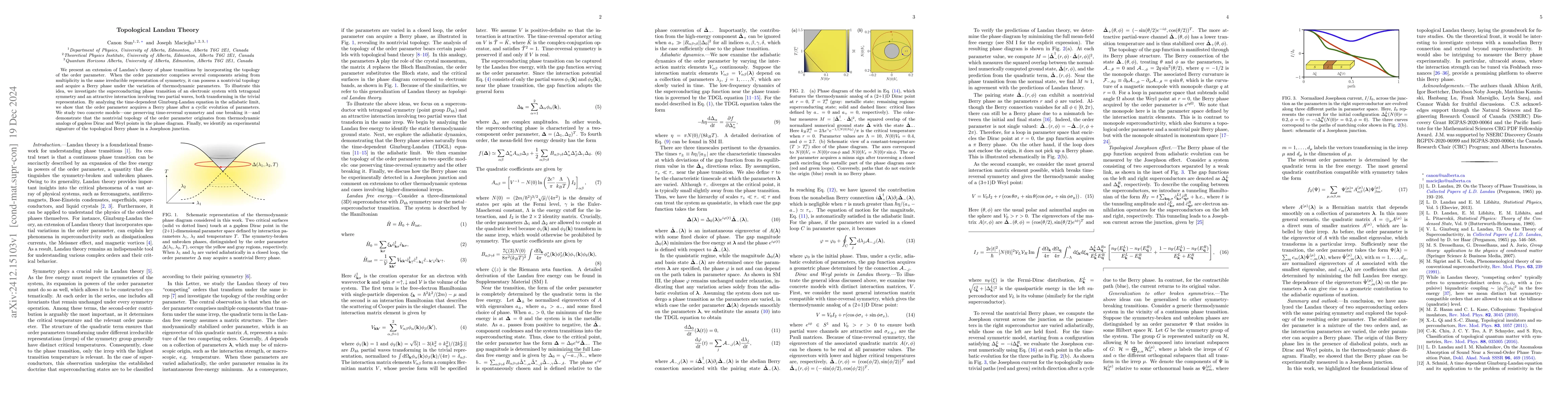 Thumbnail for Topological Landau Theory
