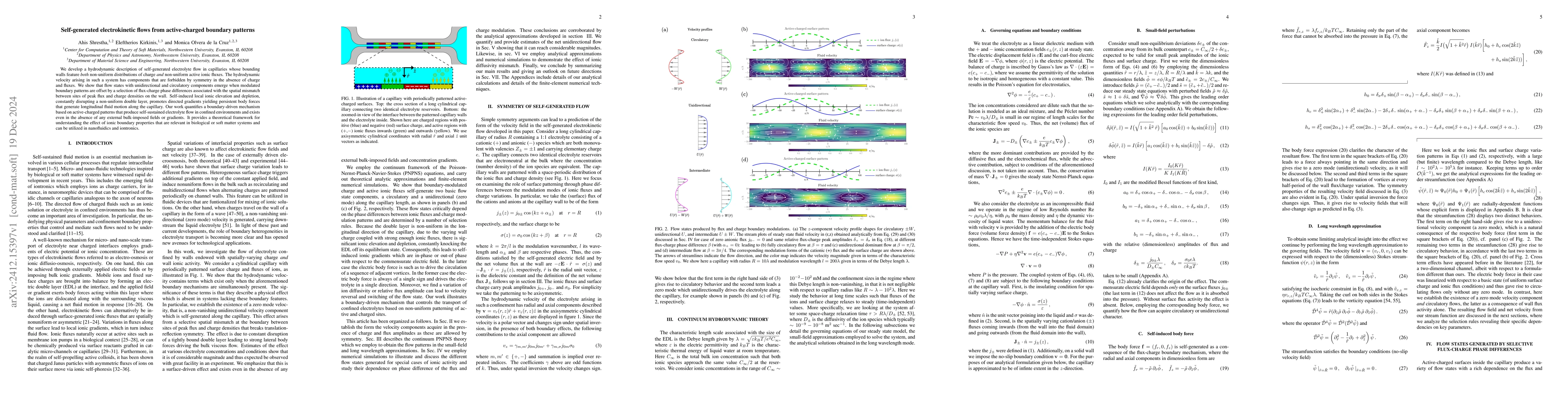 Thumbnail for Self-generated electrokinetic flows from active-charged boundary
  patterns