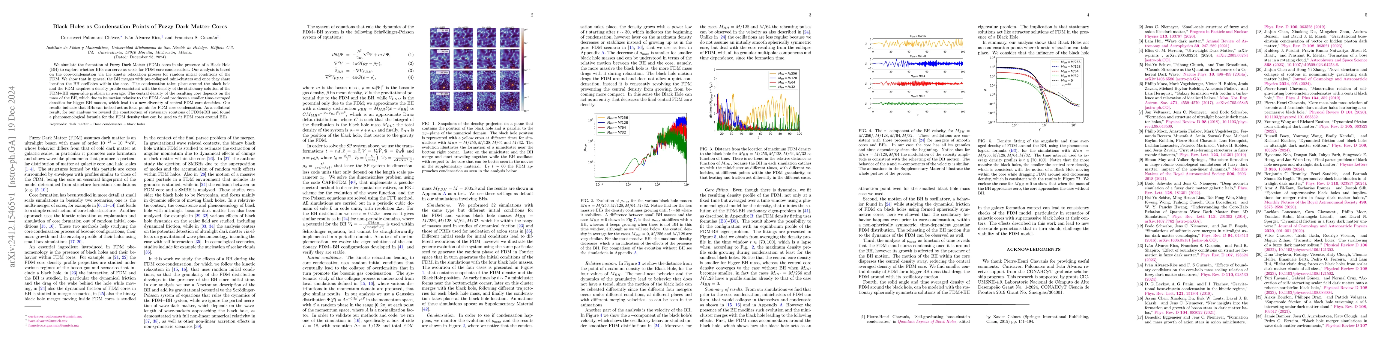 Thumbnail for Black Holes as Condensation Points of Fuzzy Dark Matter Cores