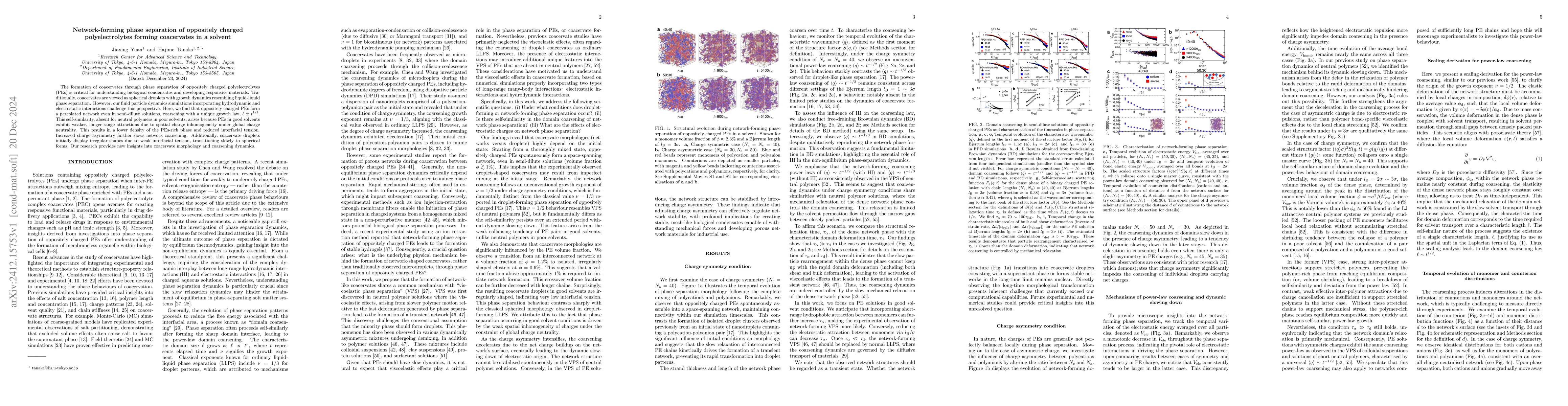 Thumbnail for Network-forming phase separation of oppositely charged polyelectrolytes
  forming coacervates in a solvent
