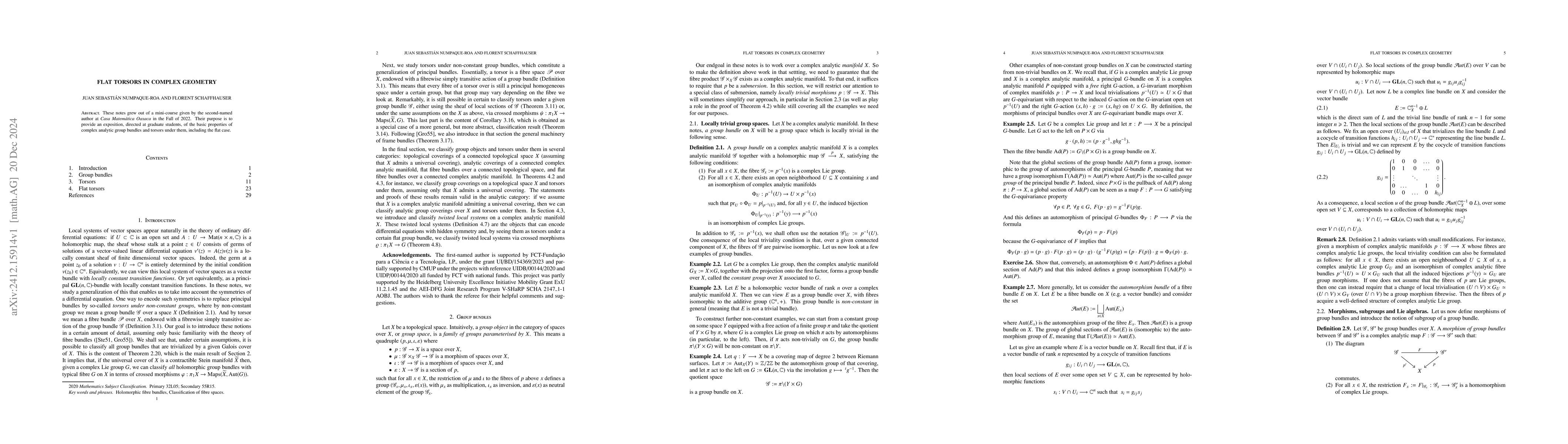 Thumbnail for Flat torsors in complex geometry