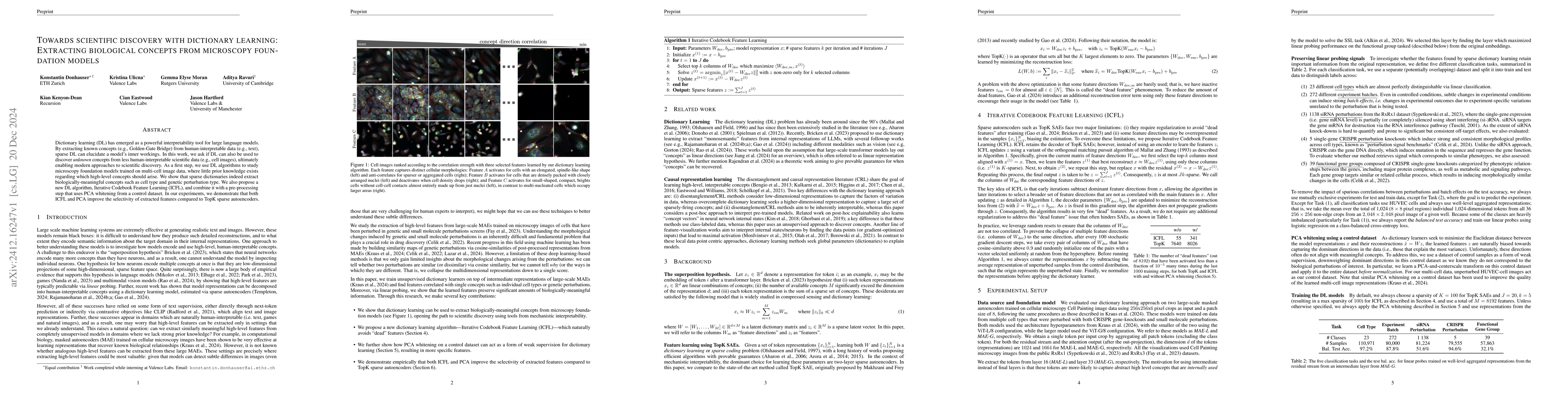 Thumbnail for Towards scientific discovery with dictionary learning: Extracting
  biological concepts from microscopy foundation models