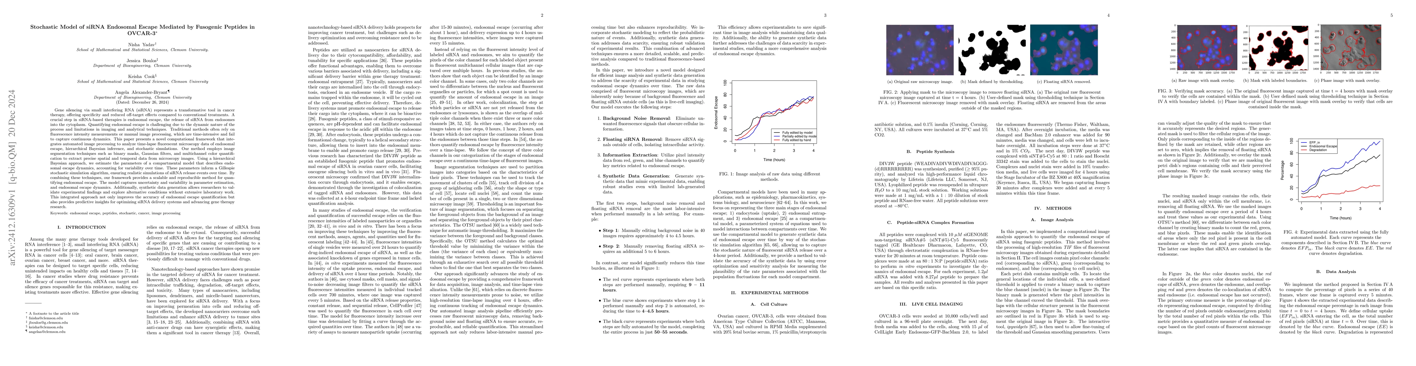 Thumbnail for Stochastic Model of siRNA Endosomal Escape Mediated by Fusogenic
  Peptides in OVCAR-3