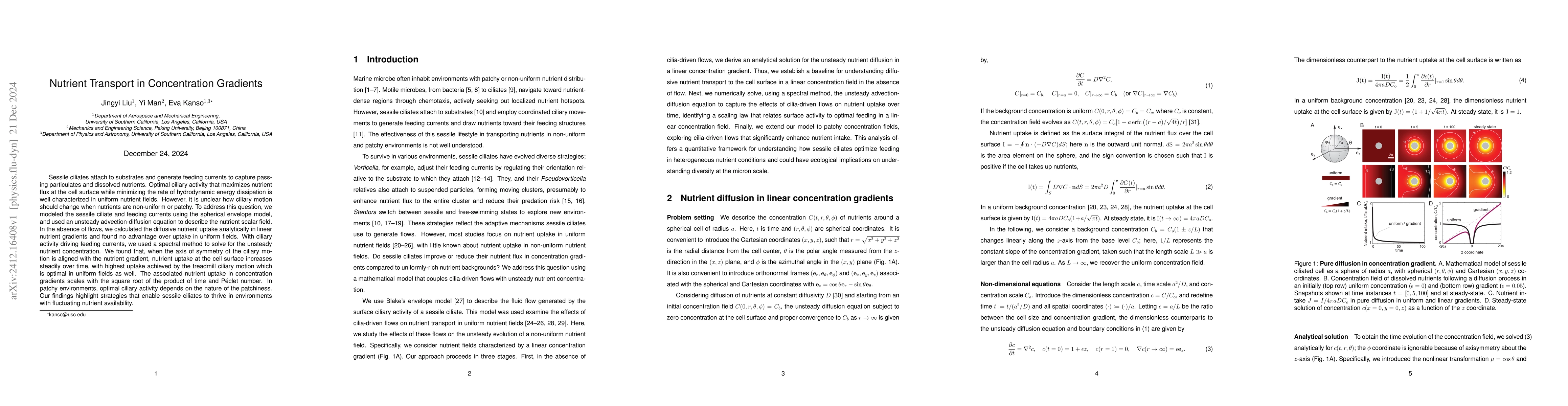 Thumbnail for Nutrient Transport in Concentration Gradients