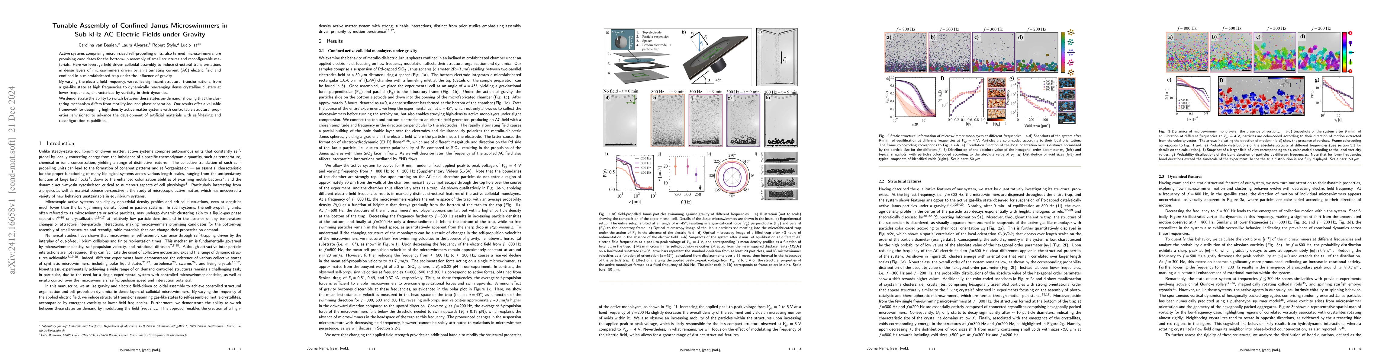 Thumbnail for Tunable Assembly of Confined Janus Microswimmers in Sub-kHz Electic
  Fields under Gravity