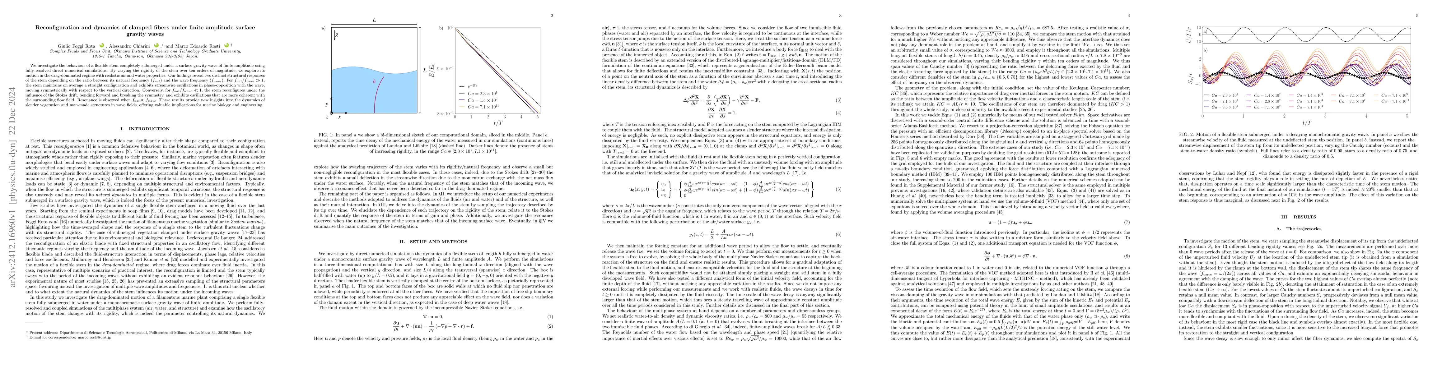 Thumbnail for Reconfiguration and dynamics of clamped fibers under finite-amplitude
  surface gravity waves