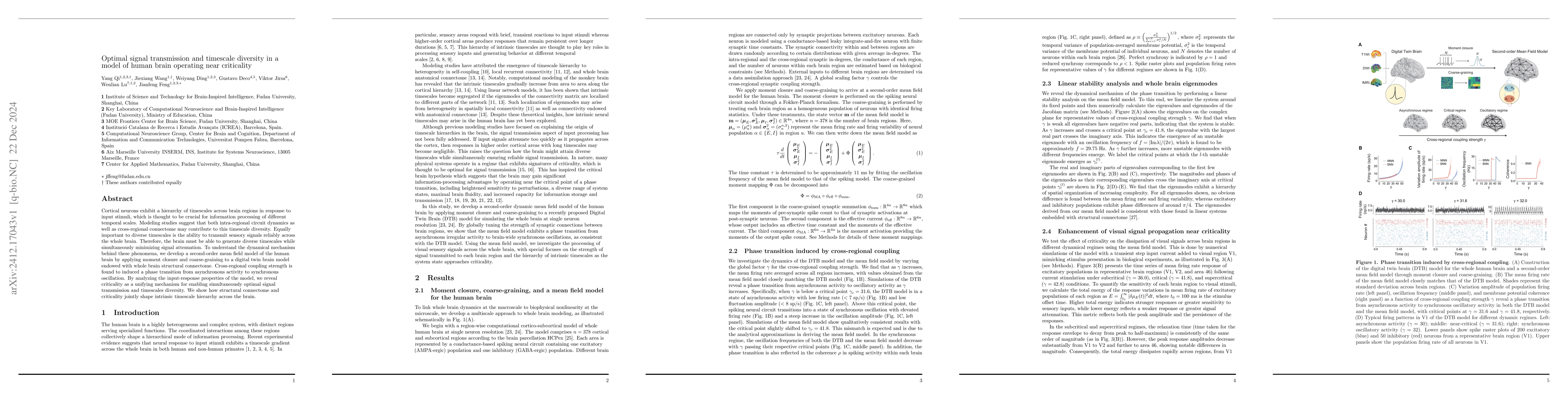 Thumbnail for Optimal signal transmission and timescale diversity in a model of human
  brain operating near criticality