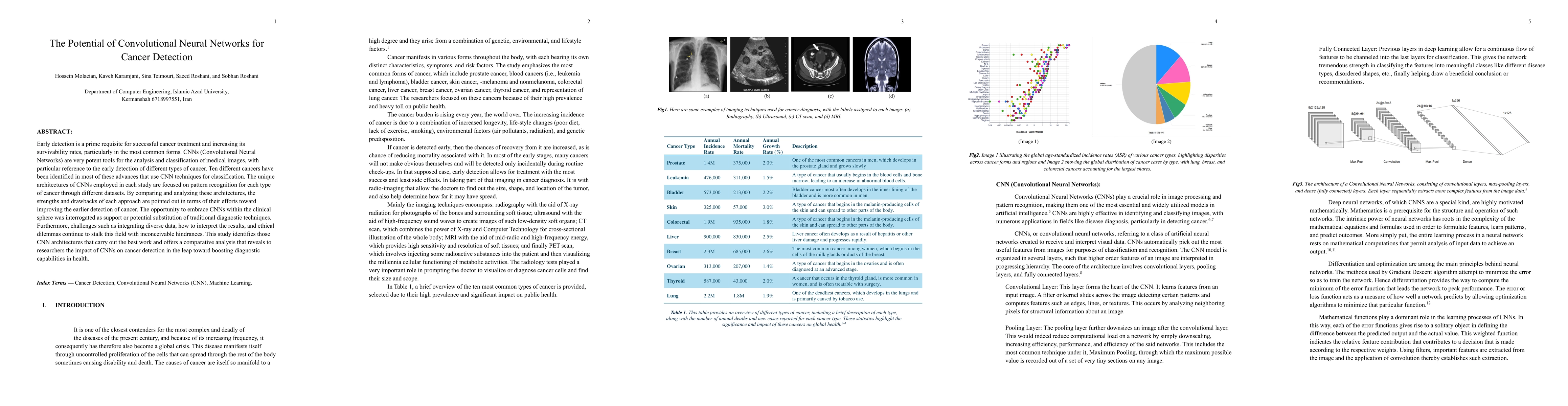 Thumbnail for The Potential of Convolutional Neural Networks for Cancer Detection