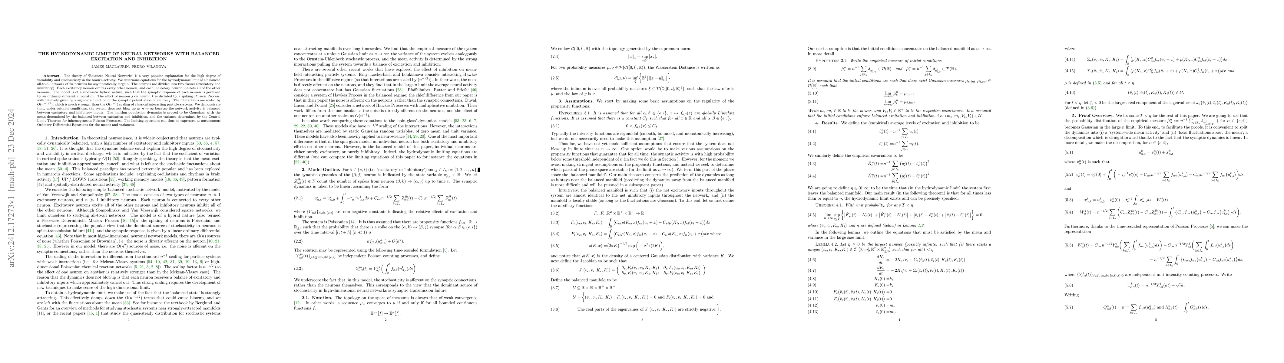 Thumbnail for The Hydrodynamic Limit of Neural Networks with Balanced Excitation and
  Inhibition