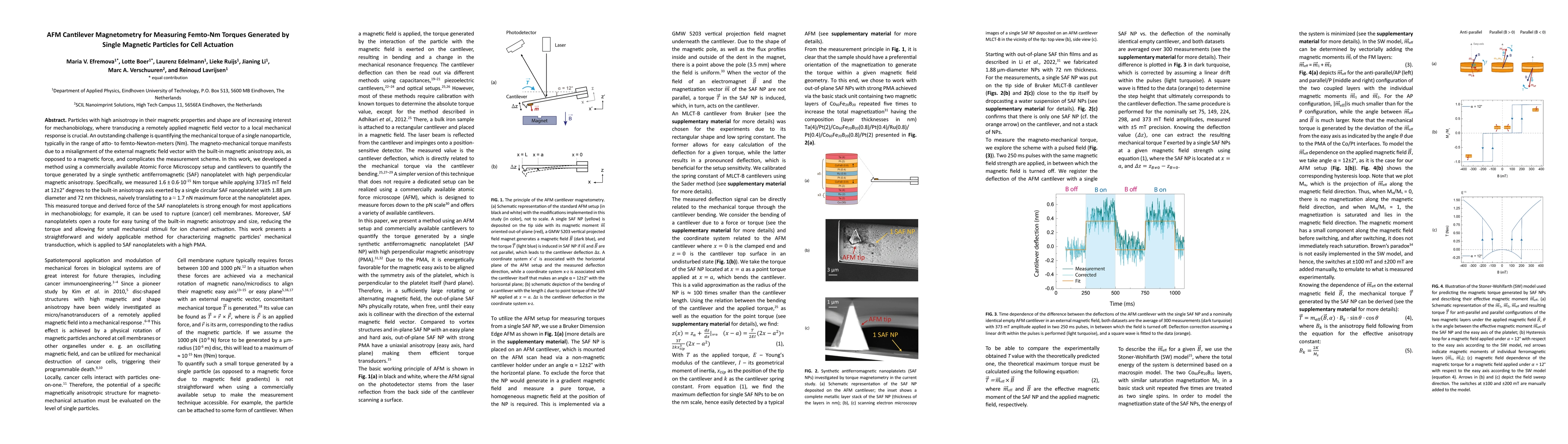 Thumbnail for AFM Cantilever Magnetometry for Measuring Femto-Nm Torques Generated by
  Single Magnetic Particles for Cell Actuation